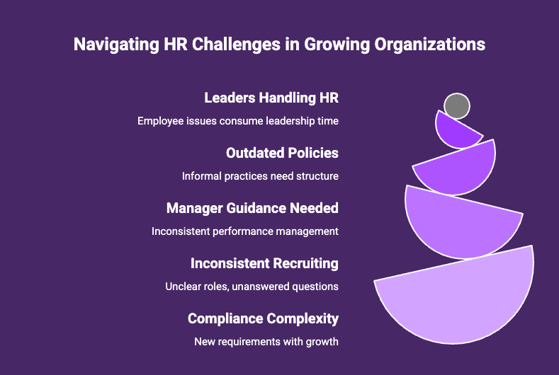 Infographic: When Fractional HR Makes the Most Sense